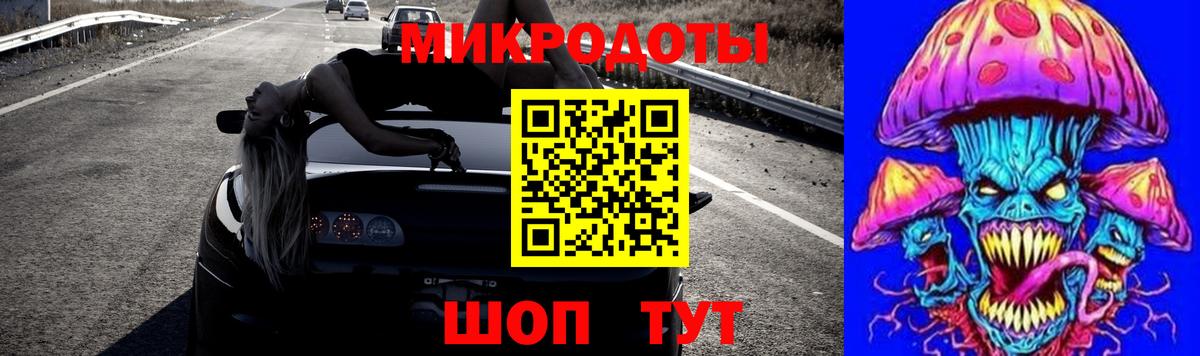 Псилоцибиновые грибы Psilocybe Нижний Тагил