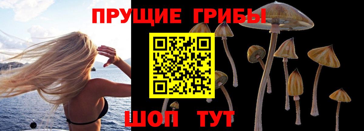 Галлюциногенные грибы Cubensis  Вход с VPN  Нижний Тагил 